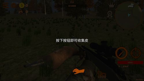 神雕狩猎模拟游戏安卓手机版安装 