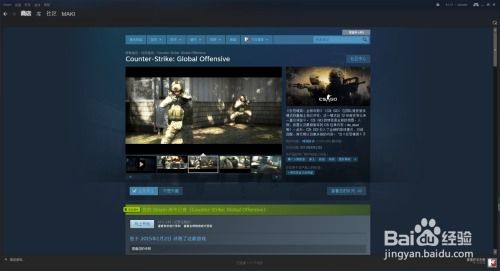 csgo助手辅助app免费下载 