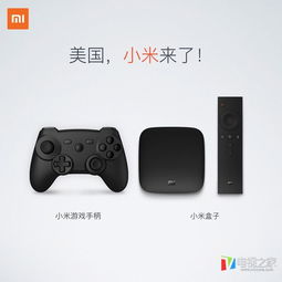乐逗游戏平台手机版正版2024最新下载 