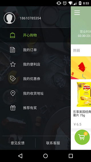 偷窃少女的教育 *** 游戏手机版 