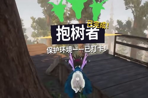 抱树游戏,探寻自然与童心的奇妙