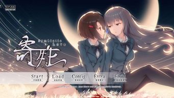 h百合游戏,h百合游戏深度解析