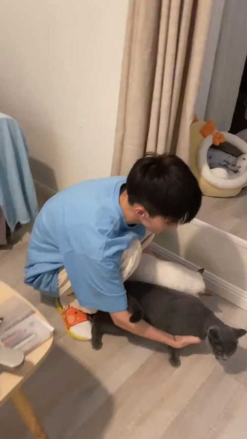 停车有序小游戏安卓版下载v1.3 