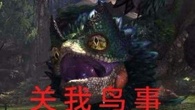 毒妖鸟
