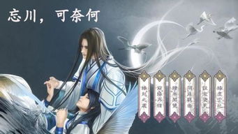 divirtual汉化版下载 