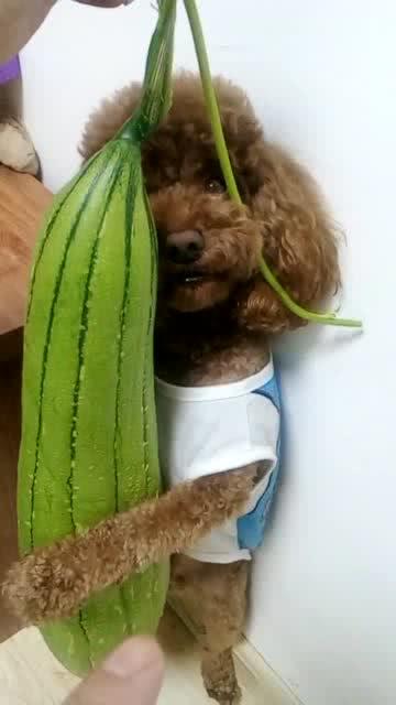 丝瓜小说 
