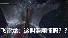 飞雷龙
