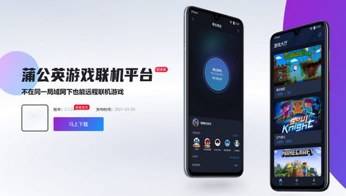 战机联机战斗中文破解版 