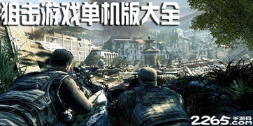 狙击大型游戏,大型游戏中的生死较量