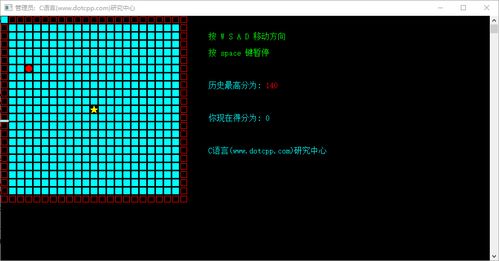 代码雨动态壁纸 