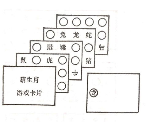猜生肖游戏,揭秘猜生肖游戏的趣味与智慧