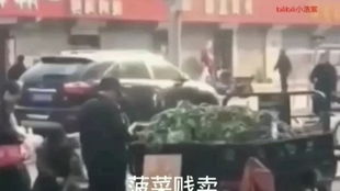 菠菜教练 