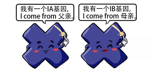 细胞分裂大作战 