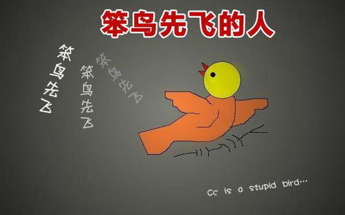 笨鸟先飞2 