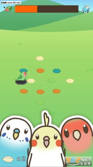 鹦鹉壁纸 