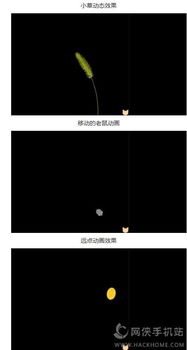 逗猫动漫app官方版下载安卓版 