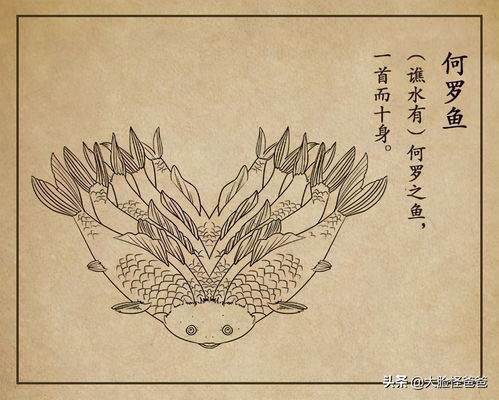 我在山海经挂机官网版 