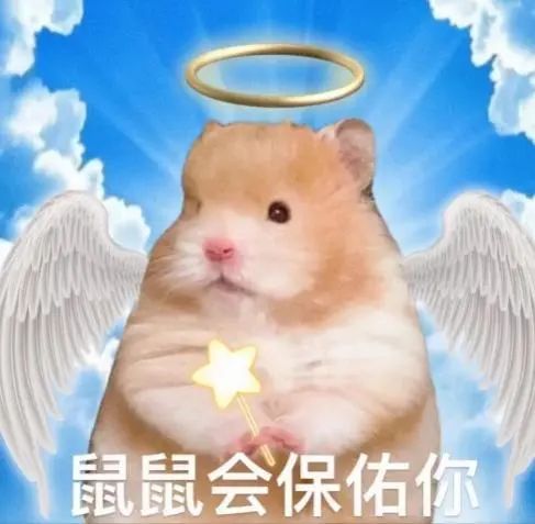 鼠鼠我苦呀 