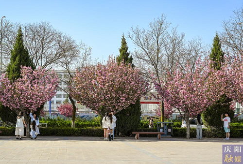 樱花校园二次元恋爱樱花校园二次元恋爱2024  樱花校园二次元恋爱樱花校园二次元恋爱2024