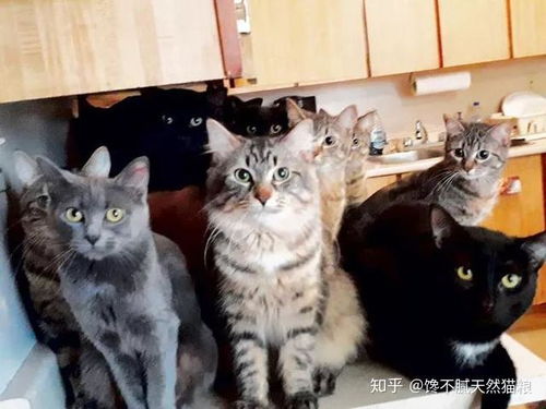 地铁人群中文版2024最新版下载v1.0.2  地铁人群中文版2024最新版下载v1.0.2