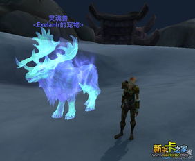 痛苦灵魂受折磨的灵魂手游下载  痛苦灵魂受折磨的灵魂手游下载