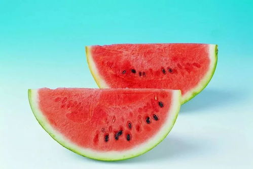 西瓜美剧app官方版安卓版  西瓜美剧app官方版安卓版