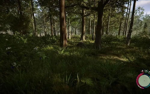 代码雨动态壁纸 