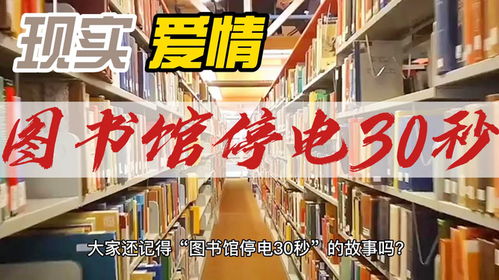 点心省电3.9.1下载 