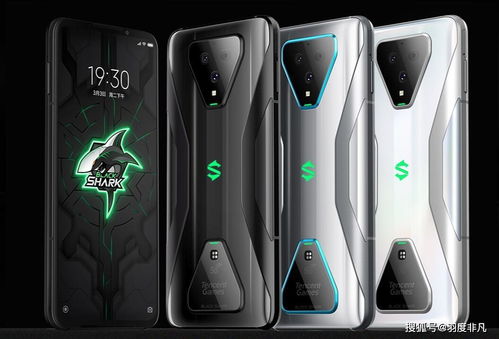 Wheeliechallenge翘头游戏中文版 